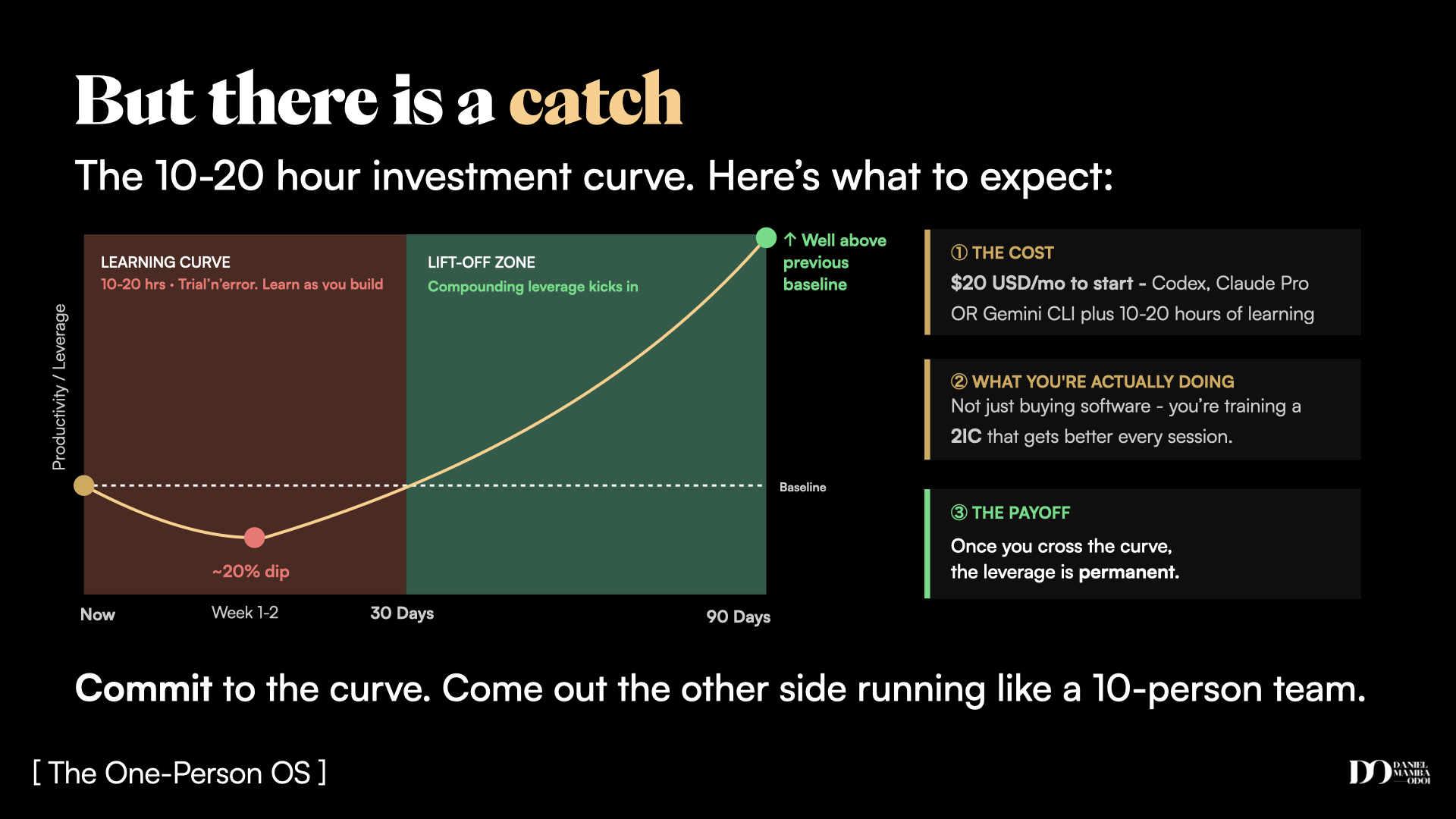 The 10-20 hour investment curve
